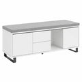 Cassapanca Scarpiera Moderna con 2 Ante, 2 Cassetti e Vano Portaoggetti, Bianco, 110x35x42cm